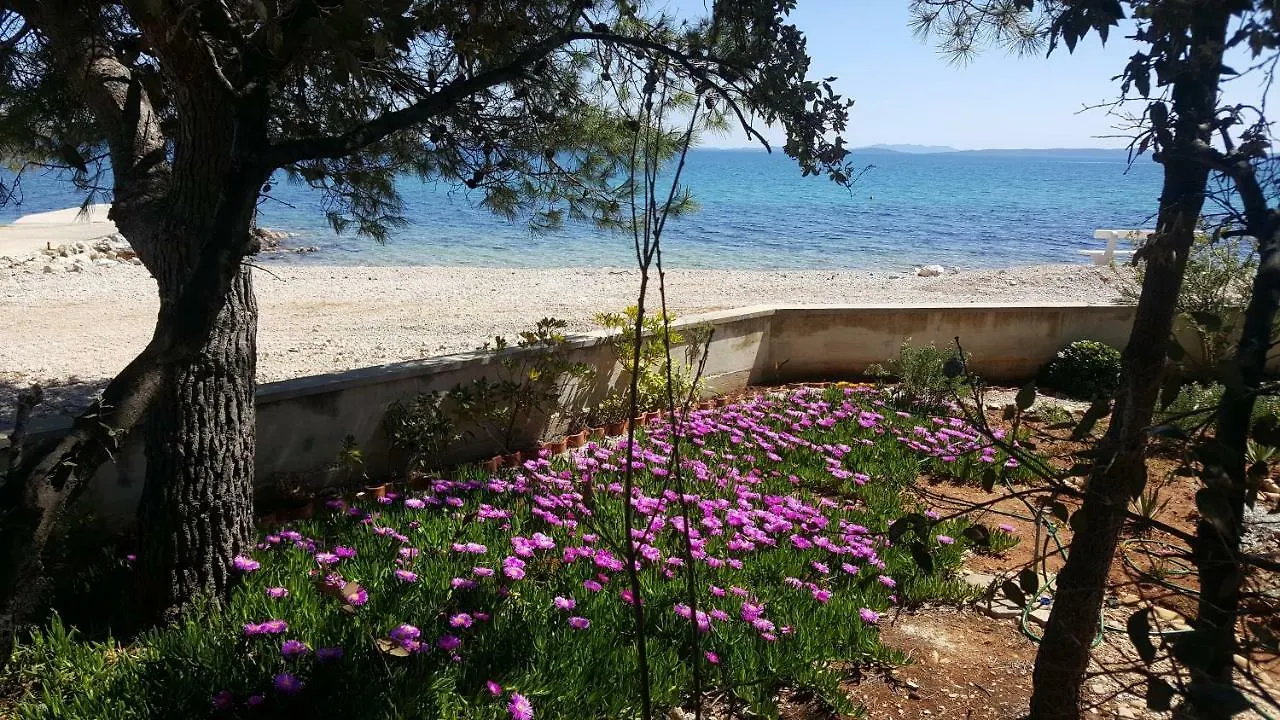 Hotel Camp Sita à Vir Croatie